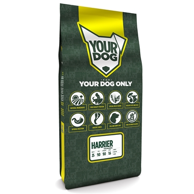 Yourdog Harrier Volwassen